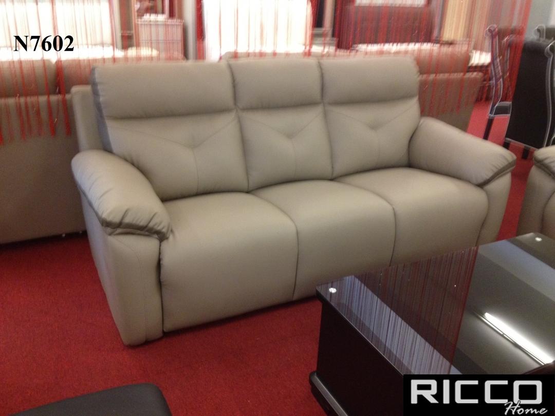 1R+23 Sofa - N7602